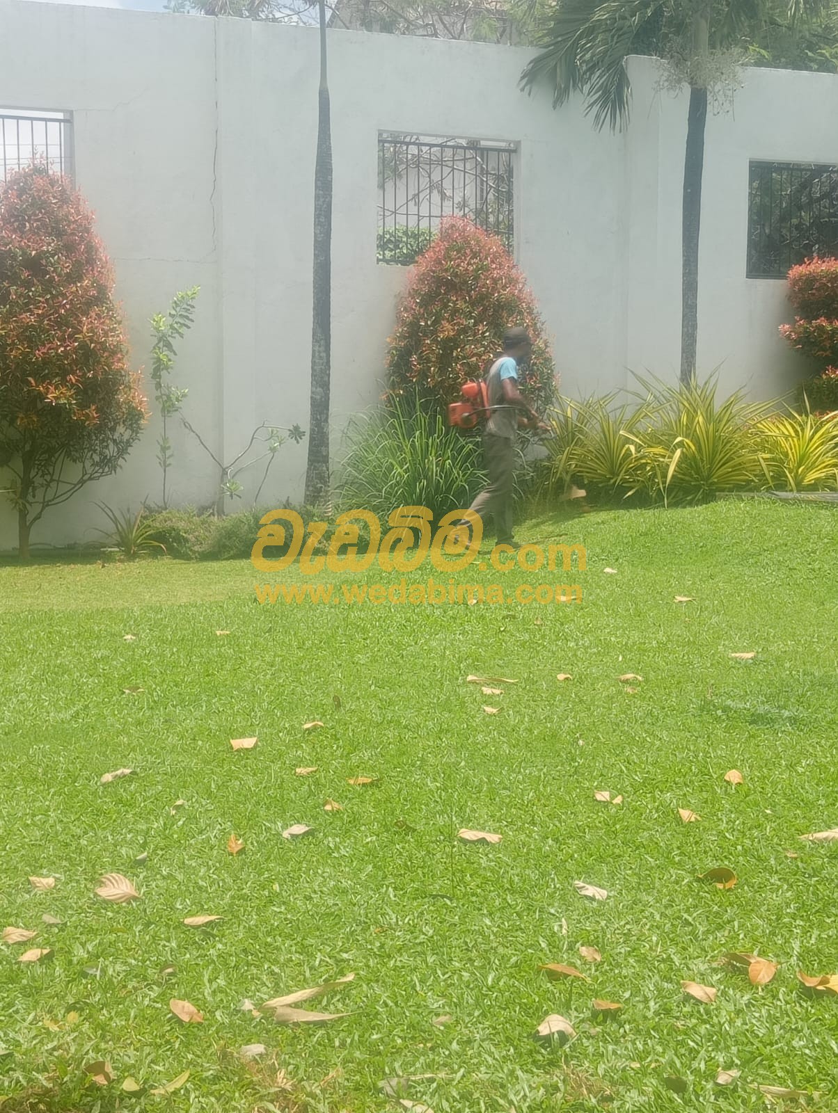 Landscaping companies in Gampaha