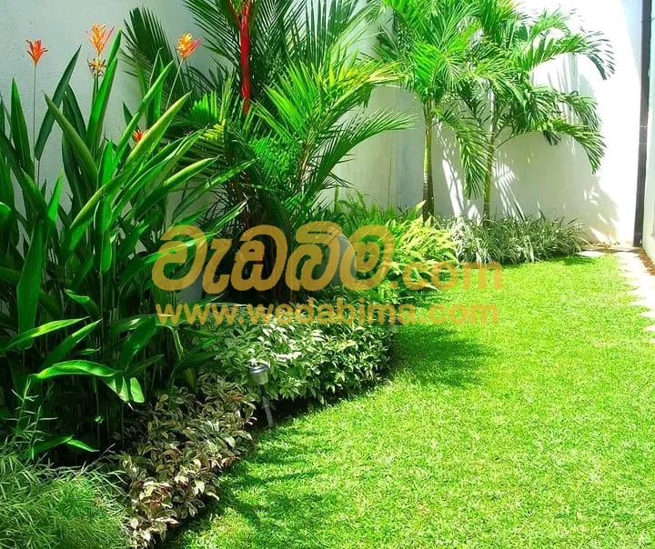 Landscaping Ideas Sri Lanka