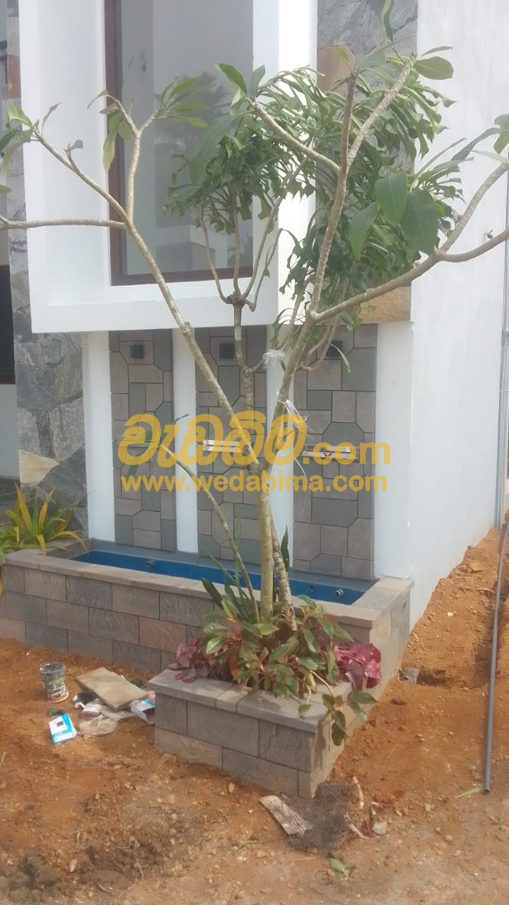 landscaping prices in sri lanka