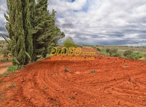 red soil sri lanka