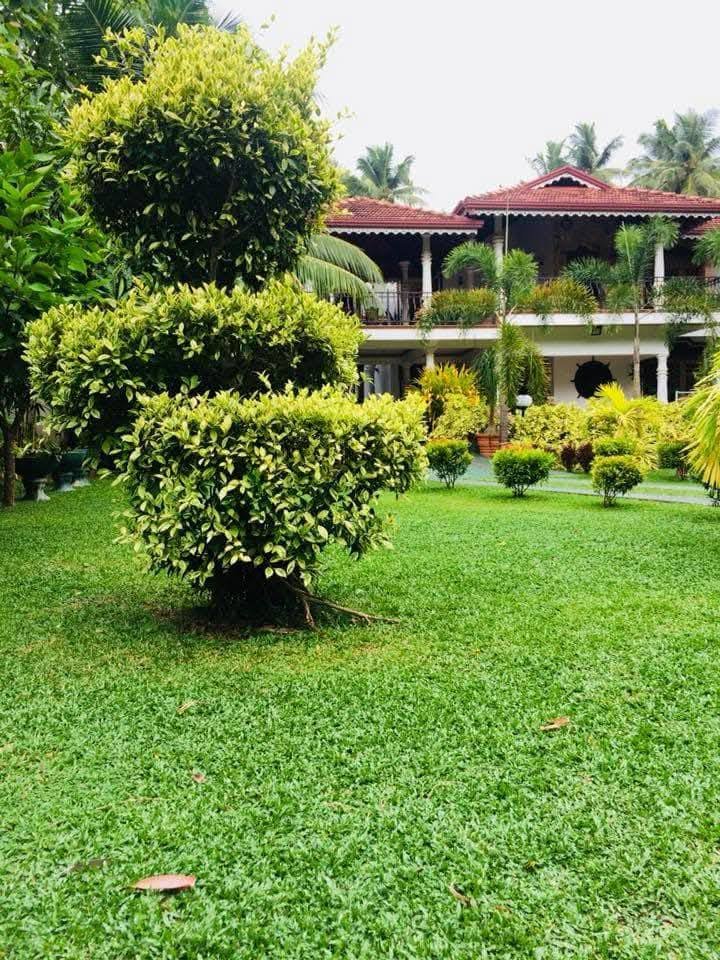 Garden Services Price In Colombo