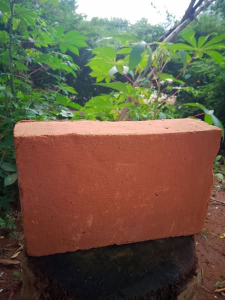 Red bricks price in colombo