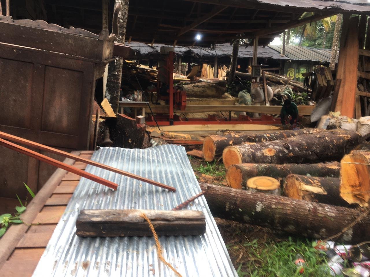 Teak Wood Price in Gampaha