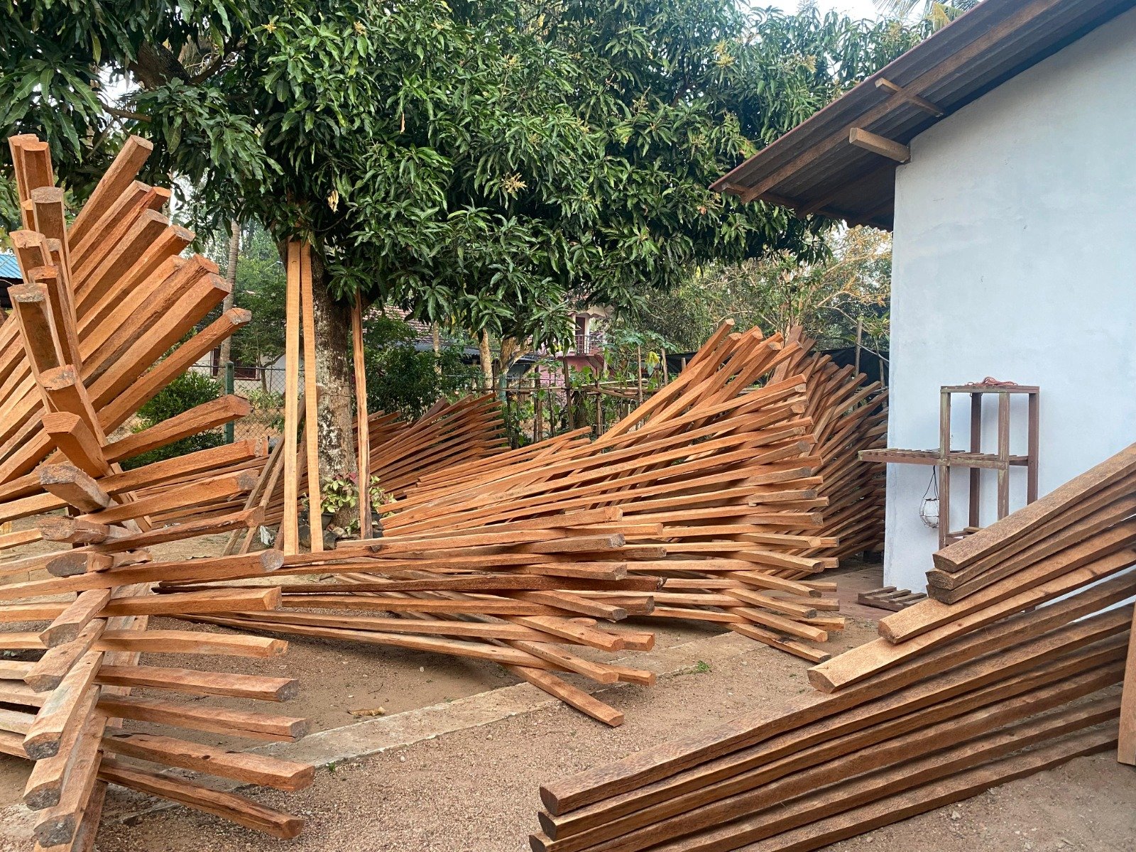 Coconut Timber price in Narammala