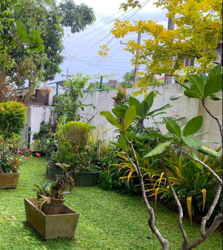 landscaping companies in malwana