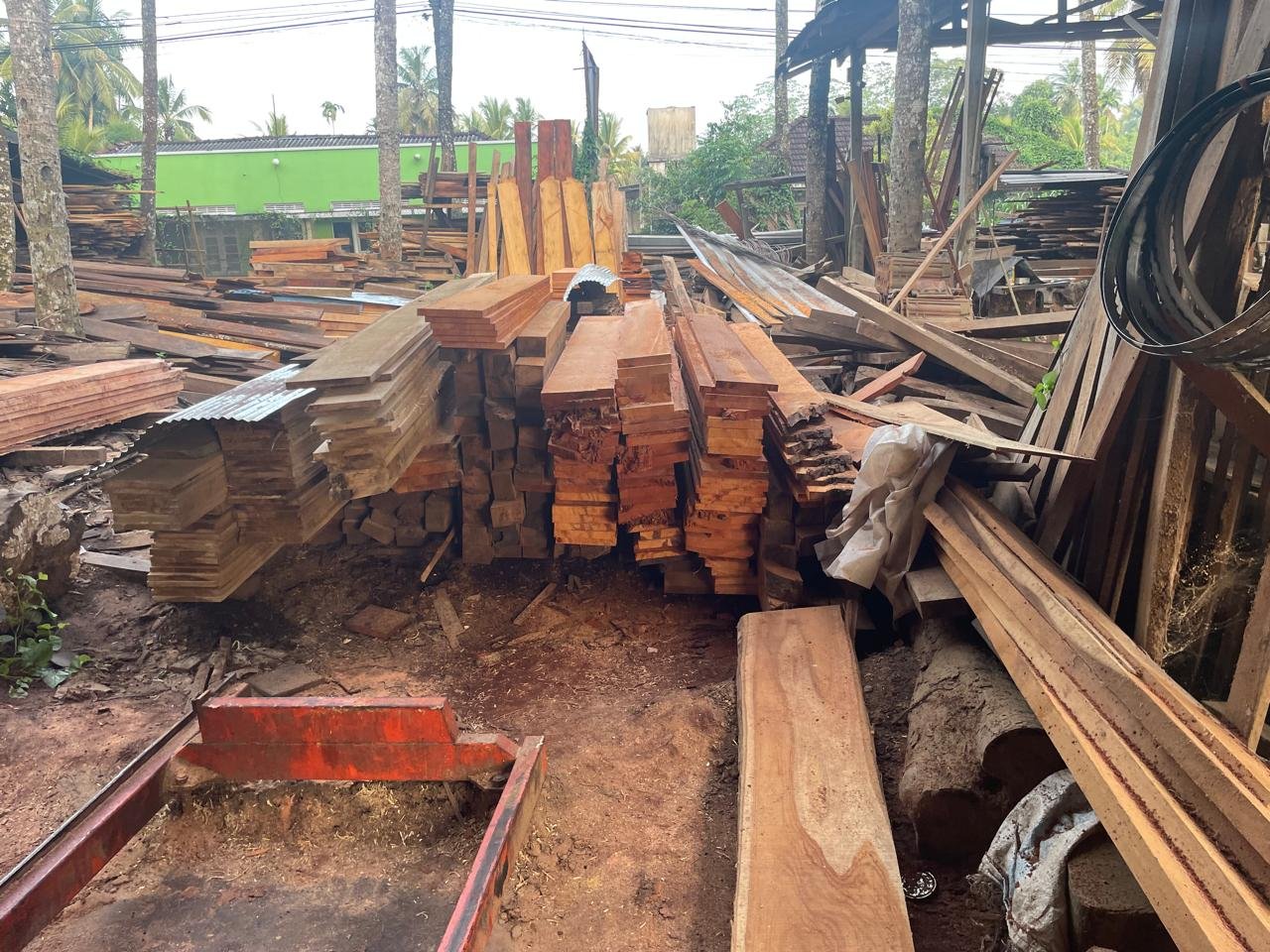 Jack wood price in gampaha