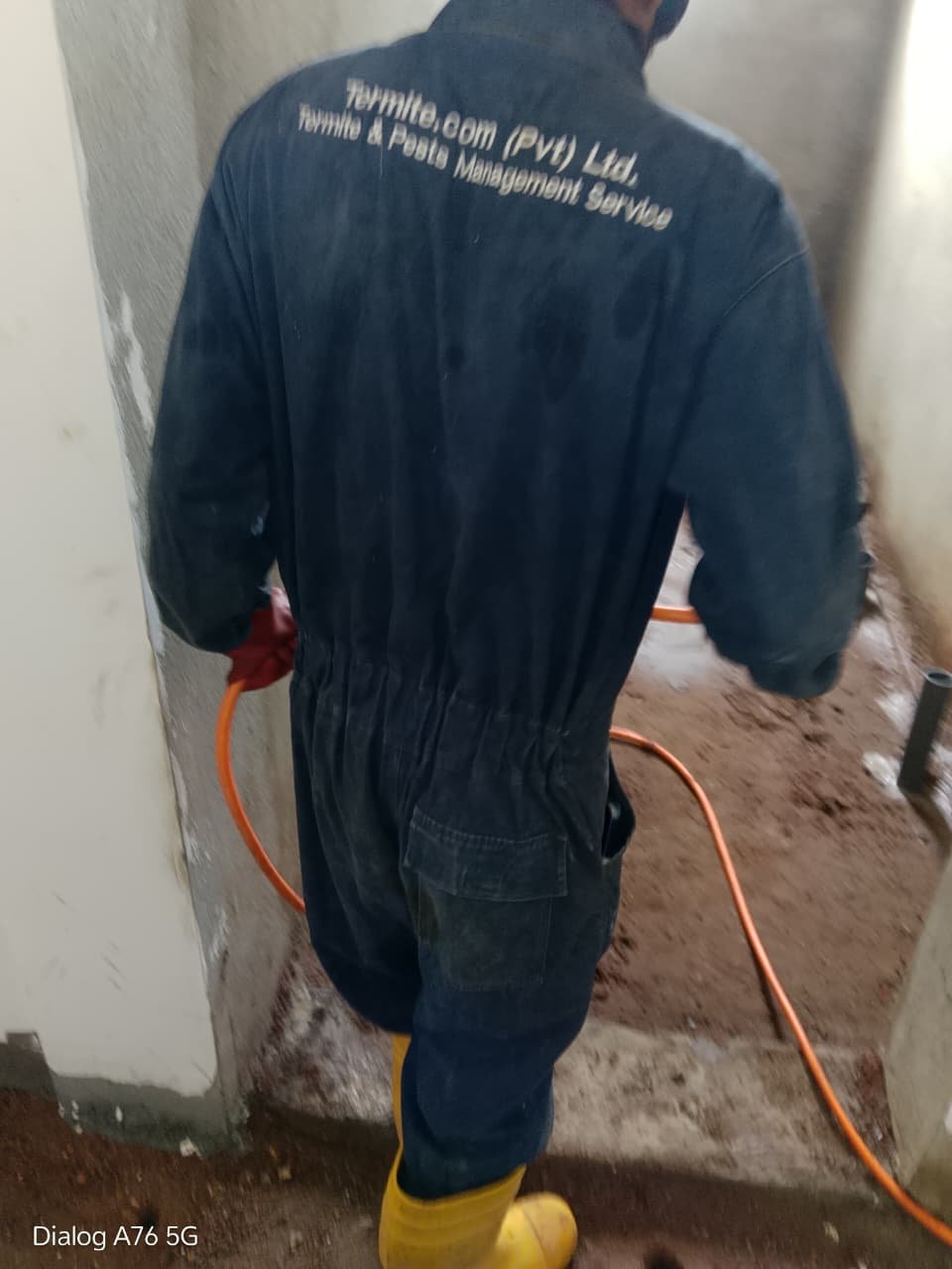 Pest control services in kurunegala