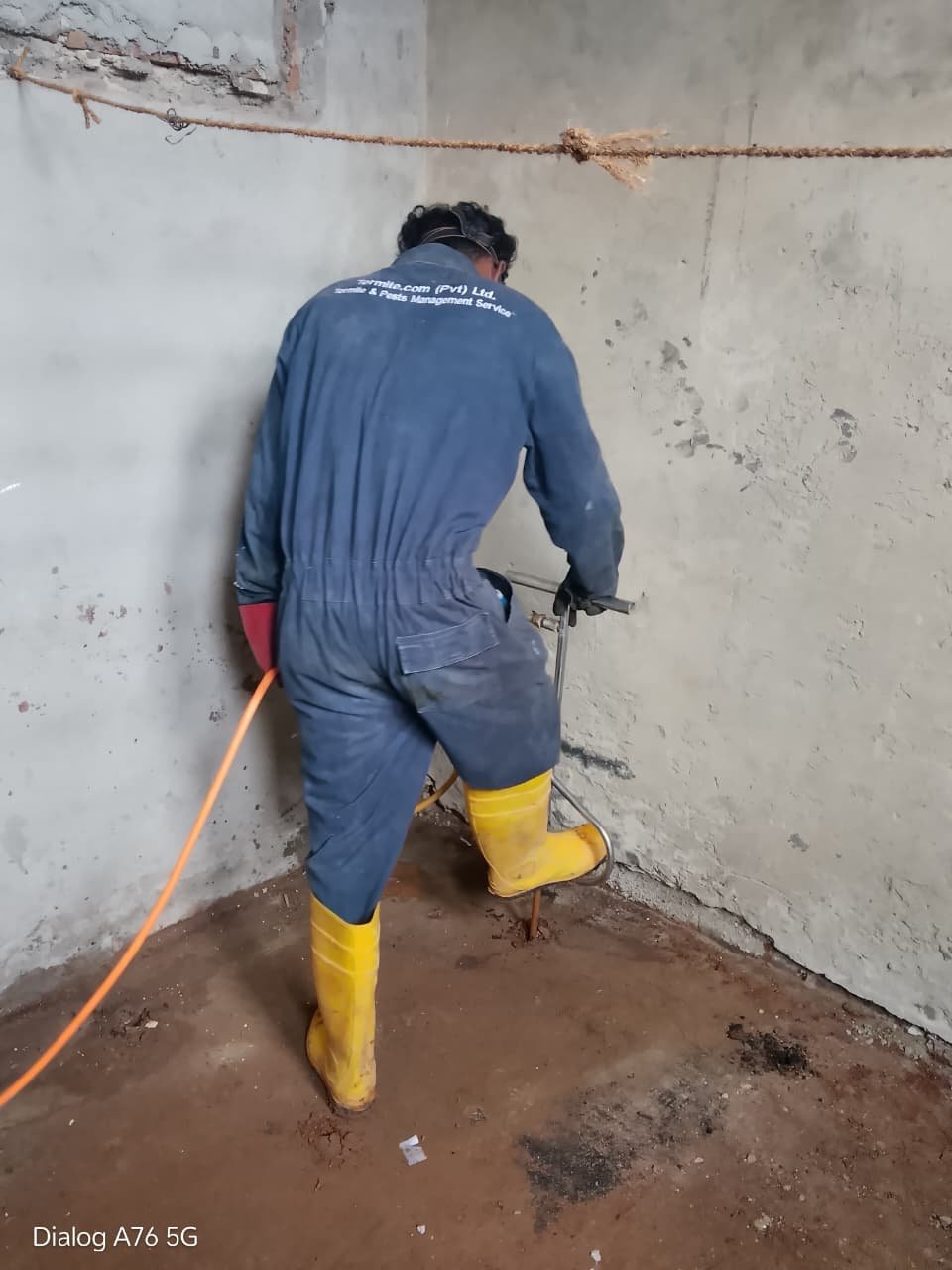 termite control in gampaha kegalle