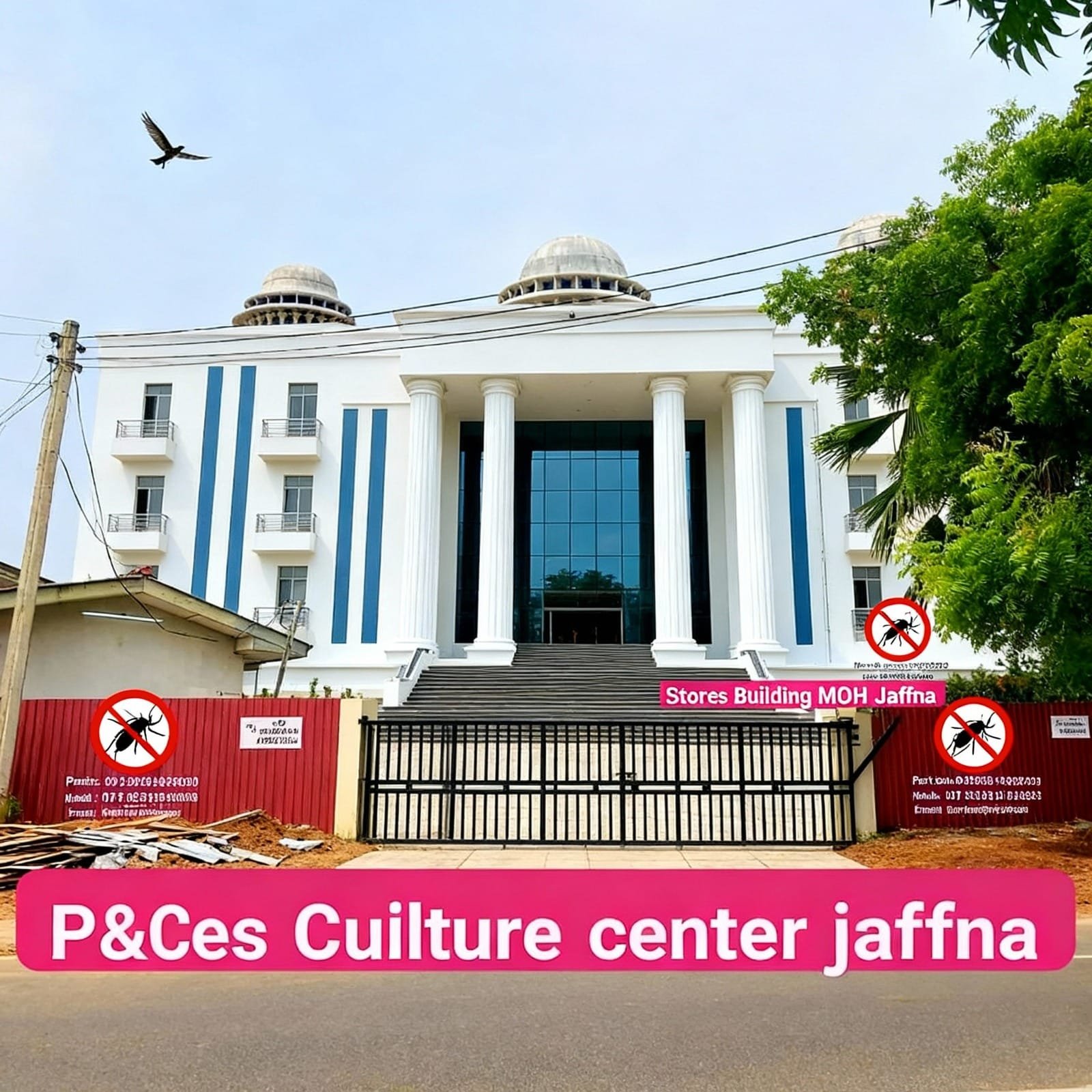 termite treatment contractors in jaffna