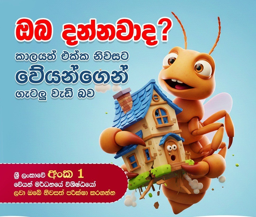 Termite treatment Jaffna