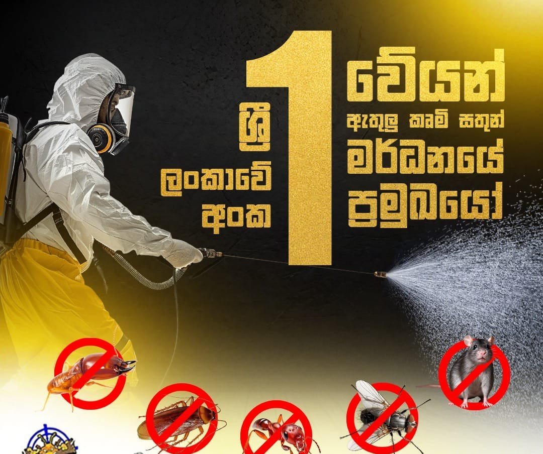 Termite treatment solutions in kandy