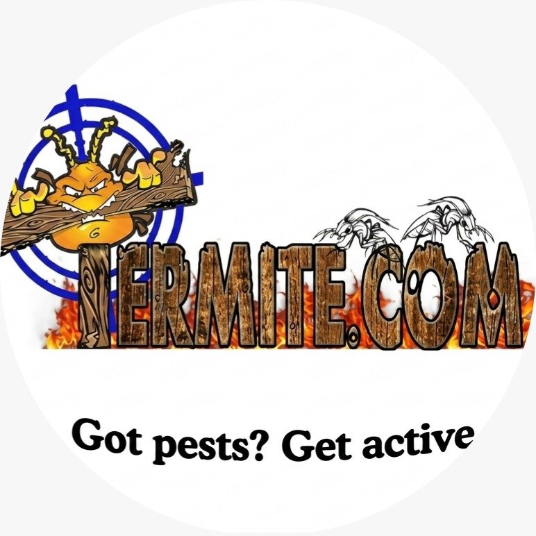 Termite.com (PVT) LTD