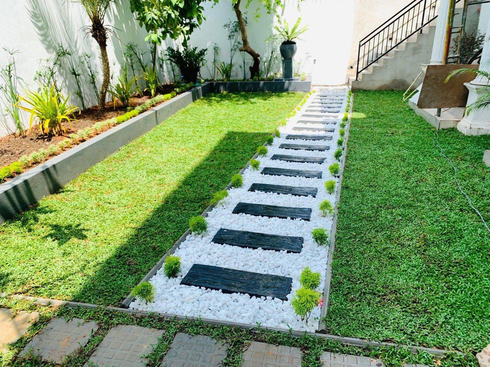 Australian Grass Colombo