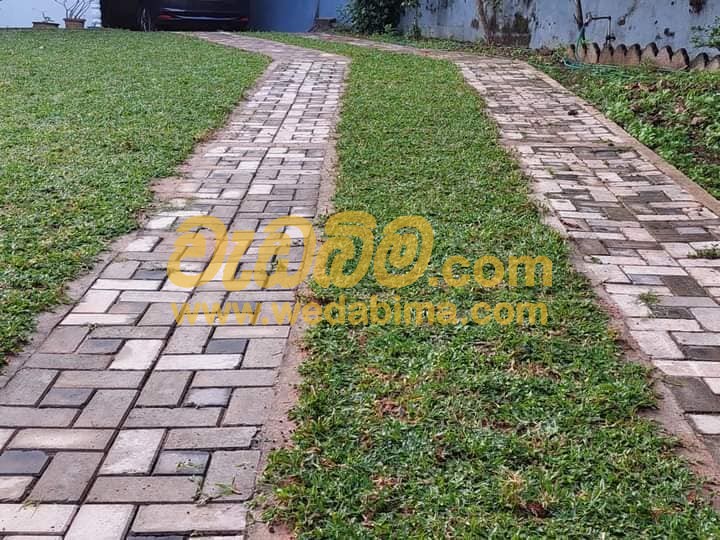 Decorative Interlock Paving Price In Sri Lanka