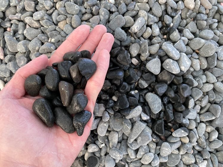 Other image 202606/black-pebble-price-in-gampaha-wedabima-a6d74ec12b.jpeg