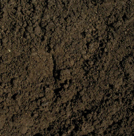 Other image 202606/kabok-soil-suppliers-in-dehiwala-wedabima-c1d8dac04e.png