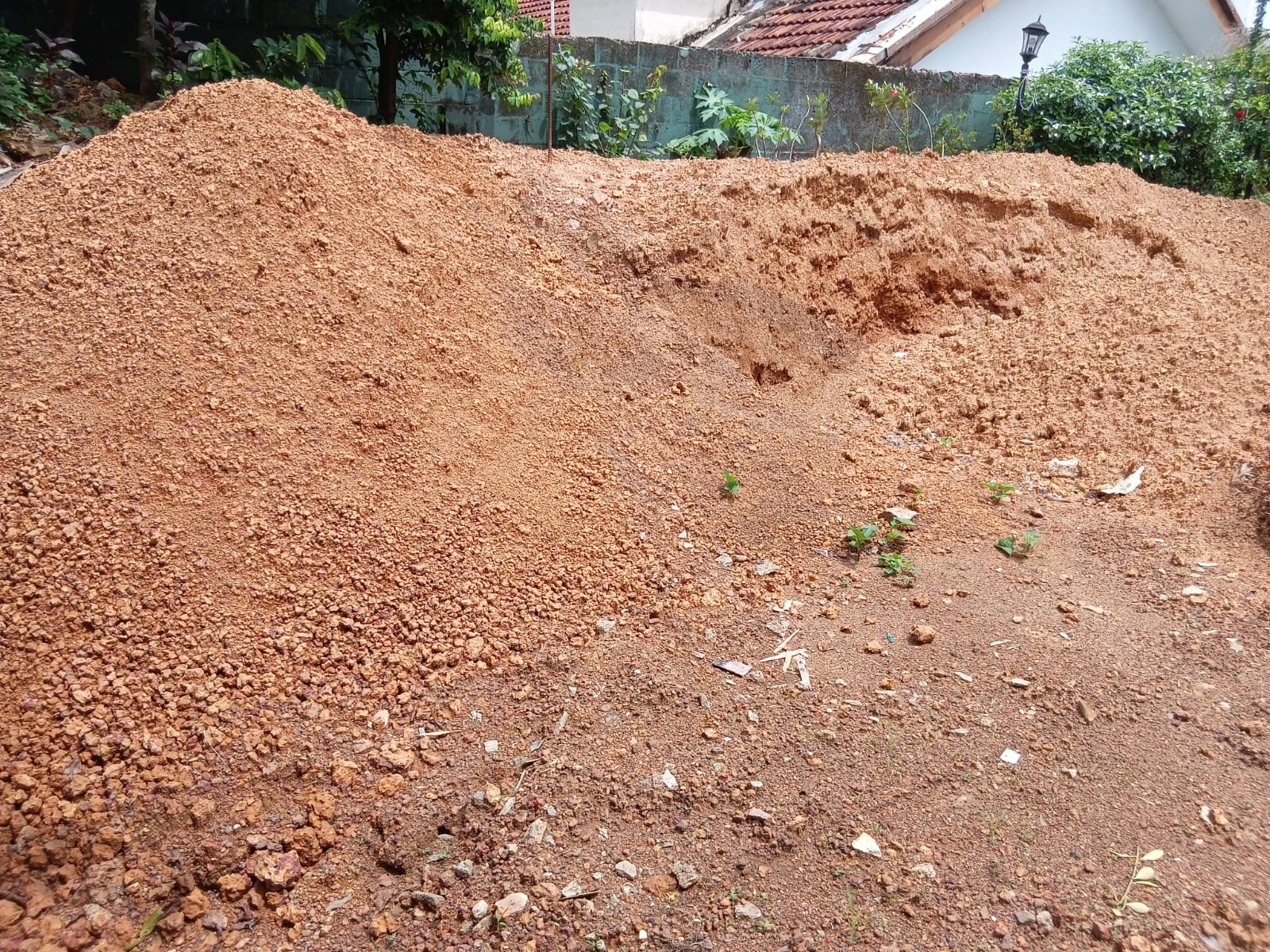 Other image 202606/soil-cube-price-in-kalubowila-wedabima-fa13abe596.jpeg