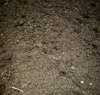 Other image 202606/soil-price-in-colombo-wedabima-0948a4fdfc.png