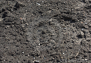 Other image 202606/soil-price-in-colombo-wedabima-1e2215a817.png