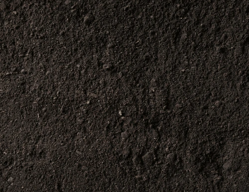 Other image 202606/soil-transport-and-service-nugegoda-wedabima-16db9c4208.png