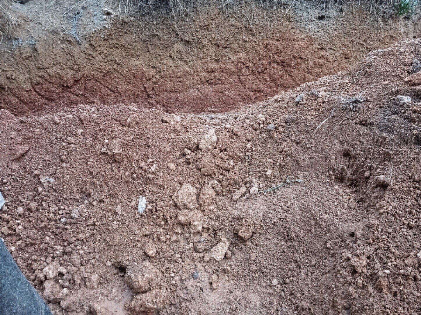 Other image 202606/soil-transport-and-service-nugegoda-wedabima-9d7a488a85.jpeg