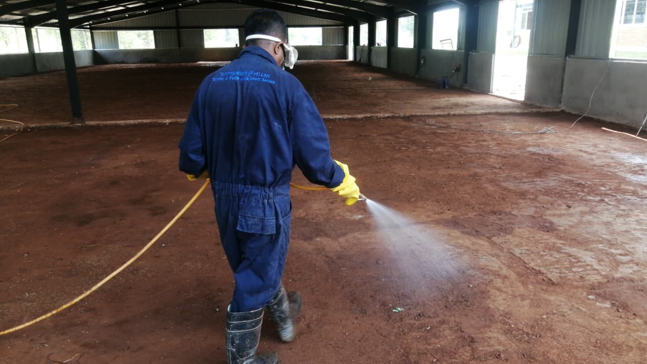 Other image 202608/anti-termite-treatment-chemicals-in-sri-lanka-wedabima-73be36a704.jpeg
