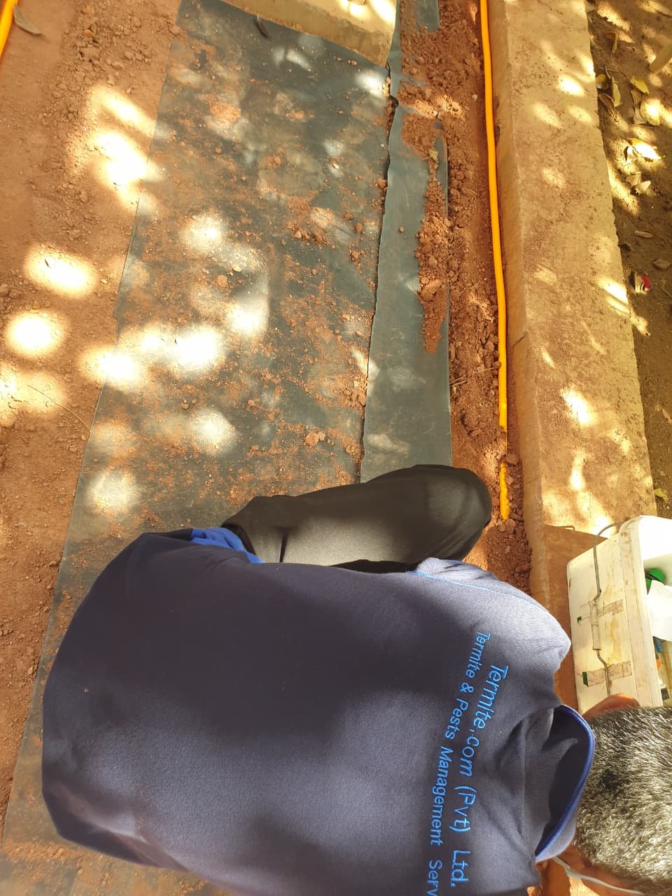Other image 202608/anti-termite-treatment-chemicals-in-sri-lanka-wedabima-ace430357b.jpeg