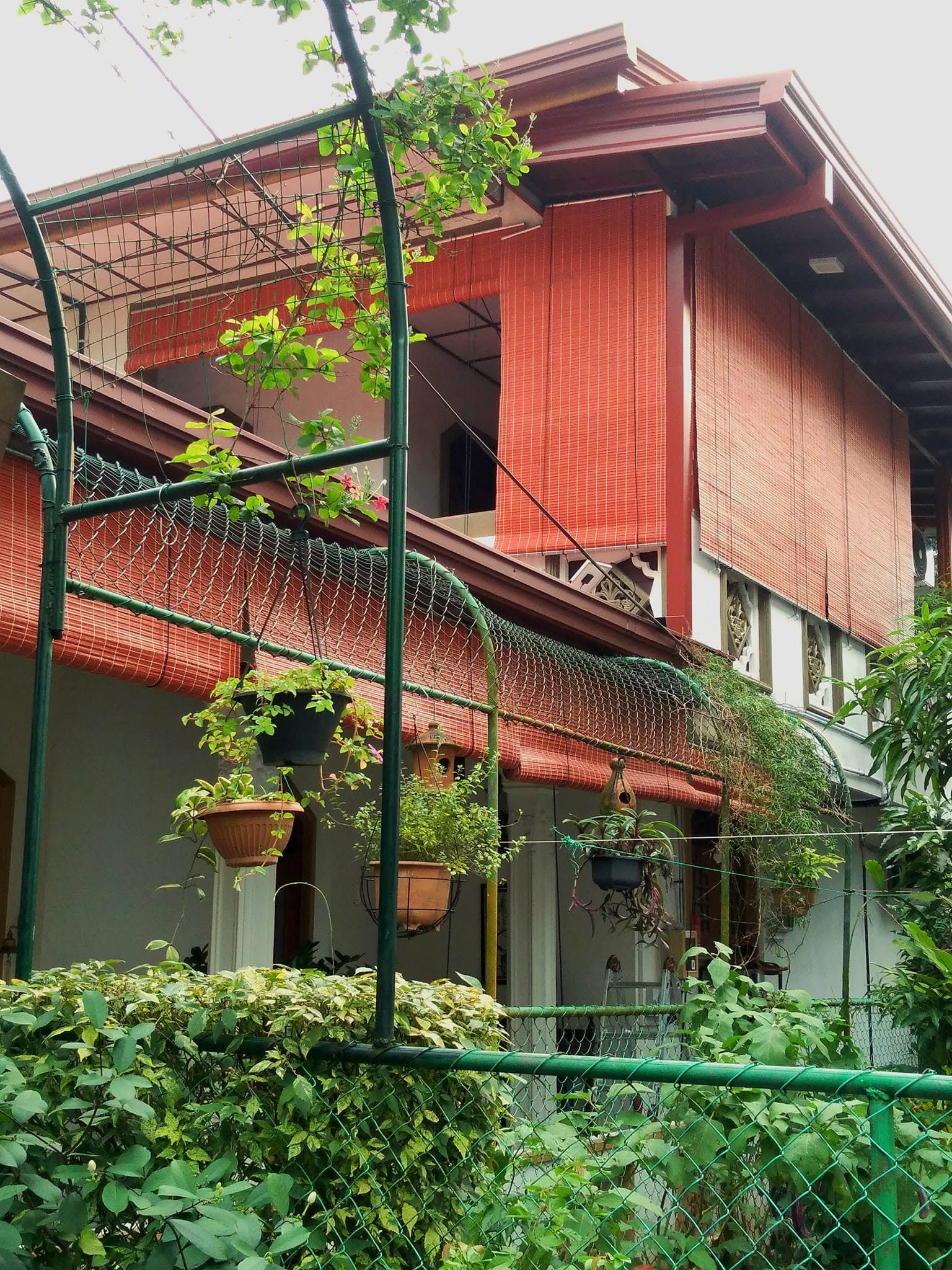 Other image 202608/bamboo-blinds-manufacturers-sri-lanka-wedabima-572e7ed6e7.jpg