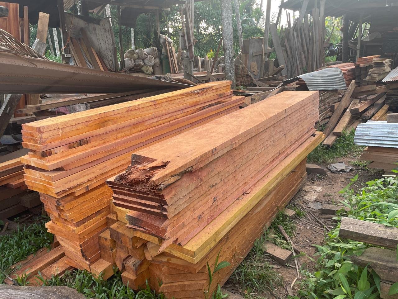 Other image 202608/jack-wood-price-in-gampaha-wedabima-b1c5bdec0f.jpeg