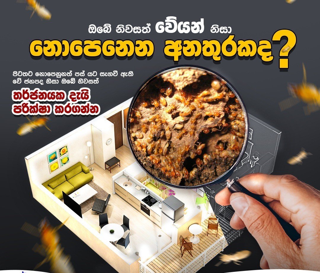 Other image 202608/pest-control-services-in-jaffna-colombo-sri-lanka-wedabima-30bc7cb57b.jpeg