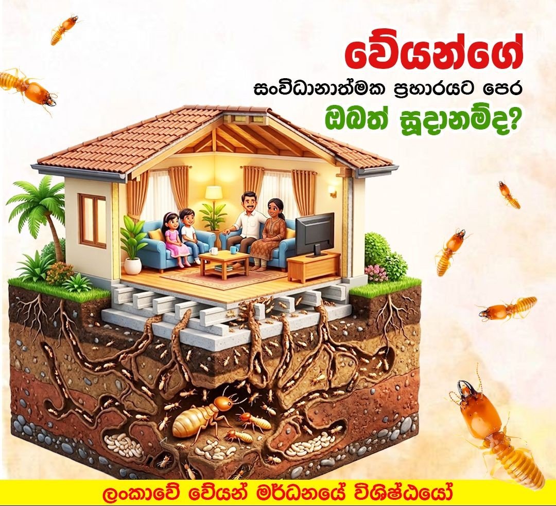 Other image 202608/pest-control-services-in-jaffna-colombo-sri-lanka-wedabima-8da75462da.jpeg