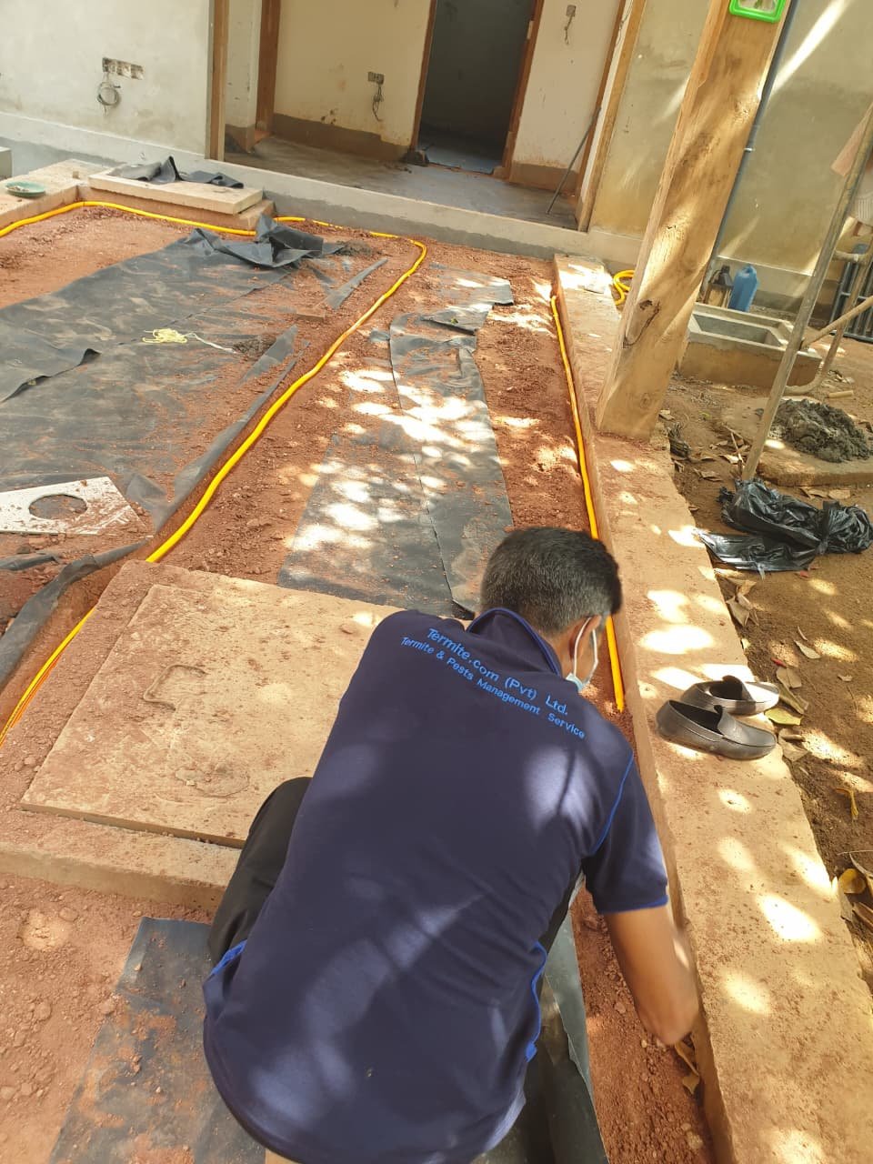 Other image 202608/pest-control-services-in-jaffna-colombo-sri-lanka-wedabima-dcb51ef9cb.jpeg