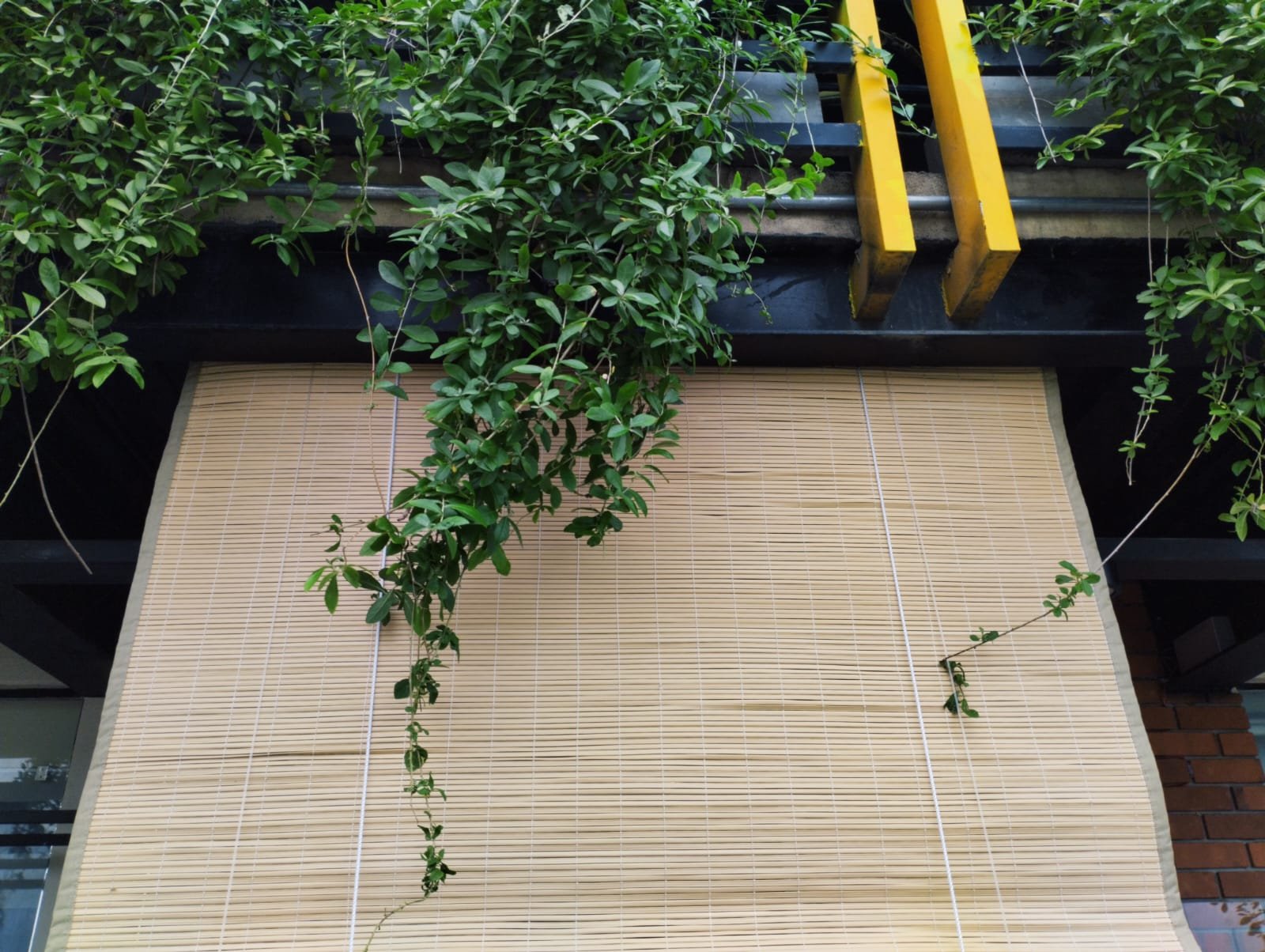 Other image 202608/plastic-blinds-for-windows-kandy-wedabima-01f3fcee7e.jpeg