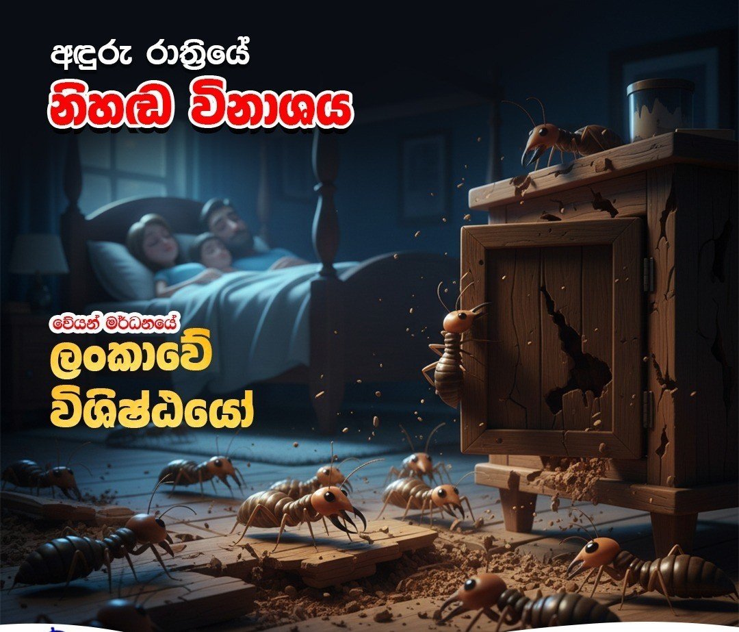 Other image 202608/termite-treatment-contractors-in-jaffna-wedabima-1201ec39e5.jpeg