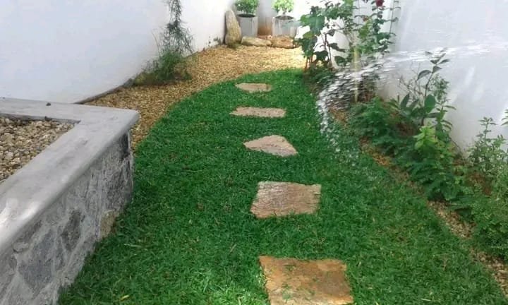 Other image 202609/garden-landscaping-sri-lanka-wedabima-f035138eec.jpeg