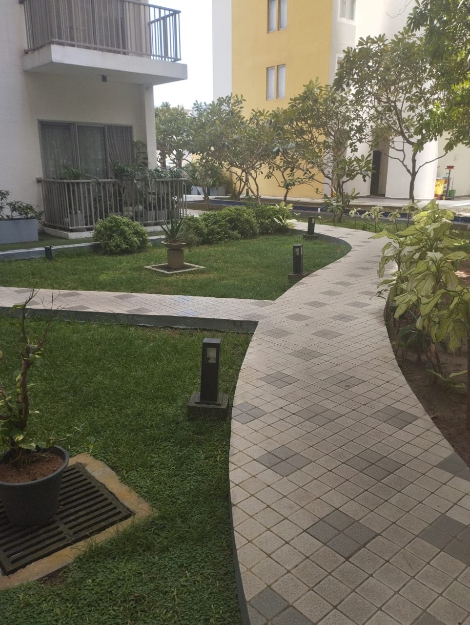 Other image 202609/gardening-maintenance-kaduwela-colombo-wedabima-8d6a06f98c.jpeg