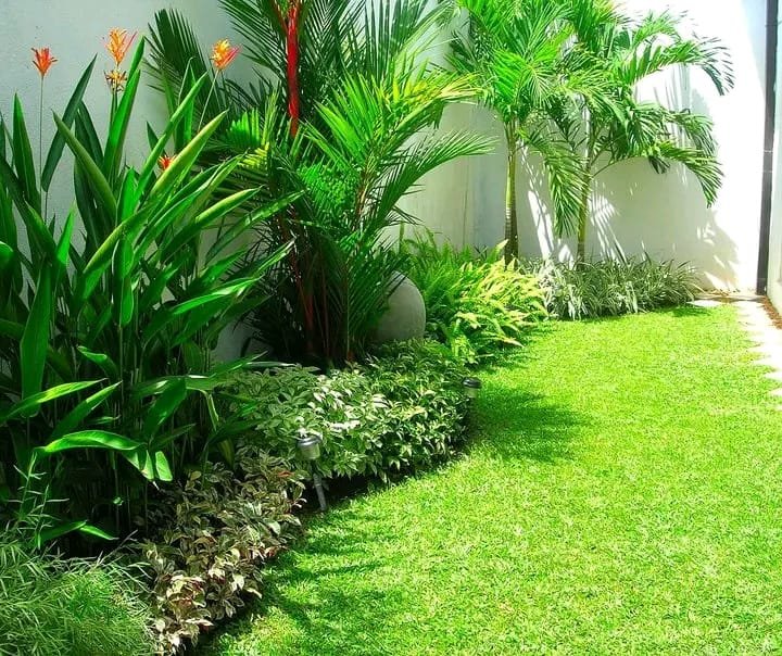 Other image 202609/landscape-contractors-in-ranala-kaduwela-wedabima-01055704f8.jpeg
