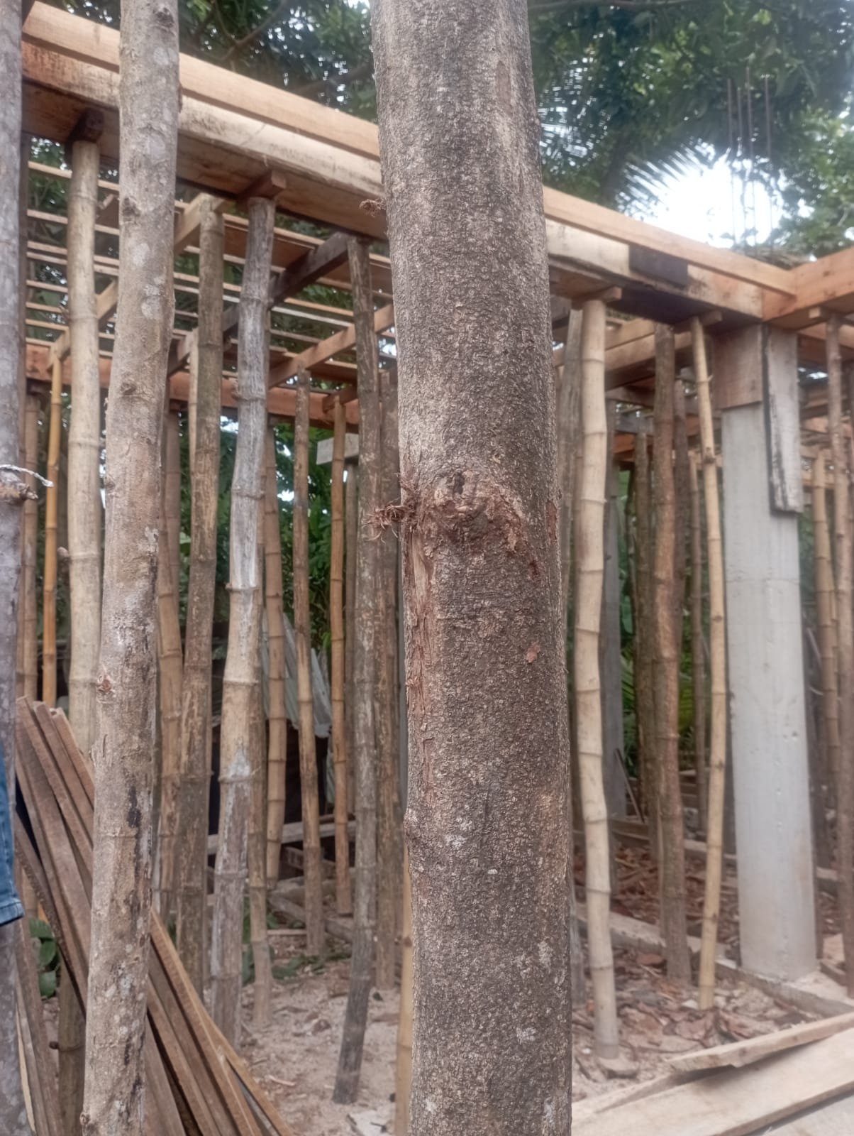 Other image 202609/professional-construction-solutions-wedabima-9931f87f67.jpeg