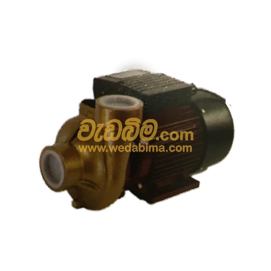 1.5 HP Water Pump