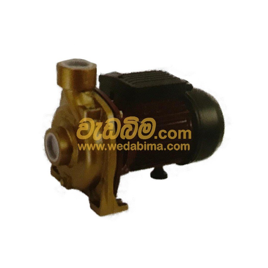 2 HP Water Pump