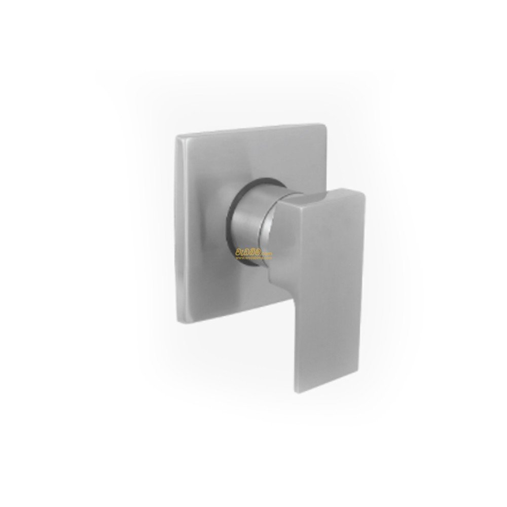 Concealed Shower Mixer